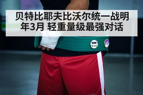 boxing championship belt